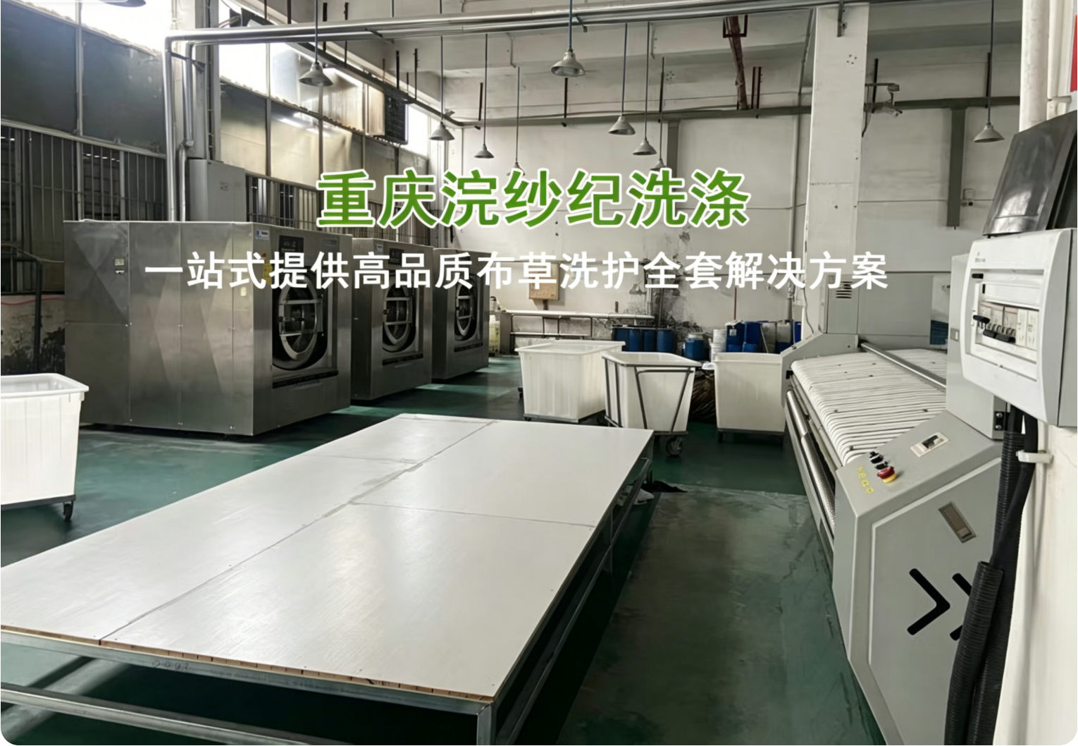重庆洗护
